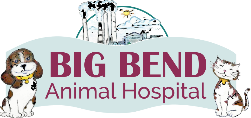 Big Bend Animal Hospital